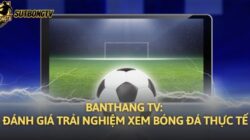 Banthang TV: Đánh Giá Trải Nghiệm Xem Bóng Đá Thực Tế