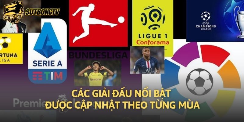 Các giải đấu nổi bật được cập nhật theo từng mùa
